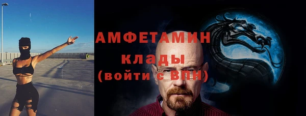 сатива Пересвет