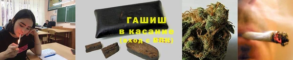 сатива Пересвет