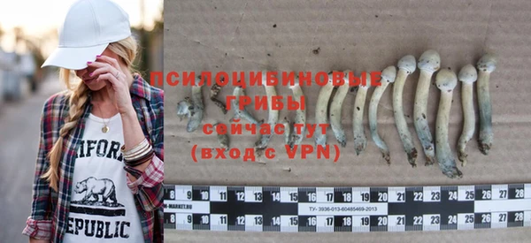 твердый Покачи