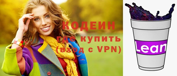 гашик Весьегонск