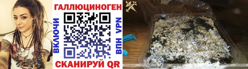 darknet состав  Разумное  Псилоцибиновые грибы прущие грибы  где купить наркоту 